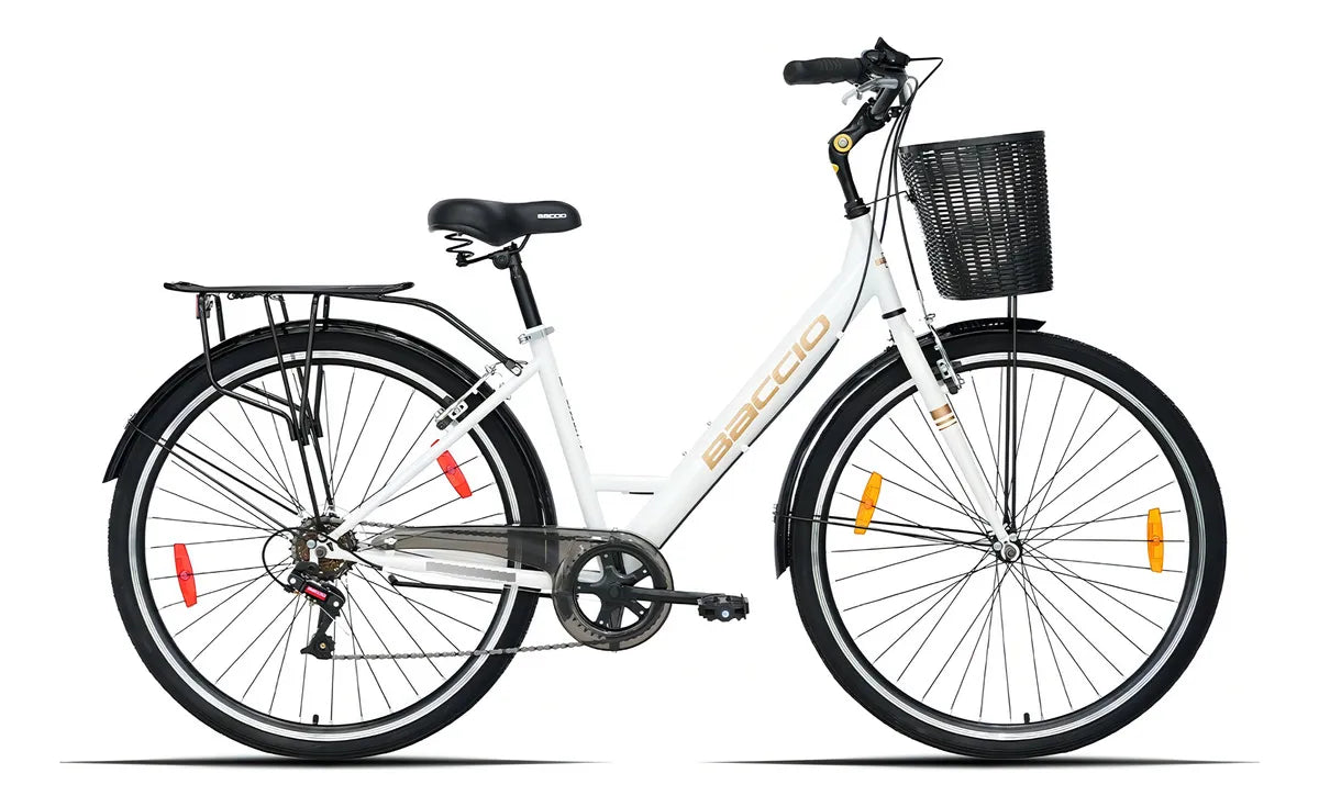 Renta de Bicicleta por Dia (24 hrs)