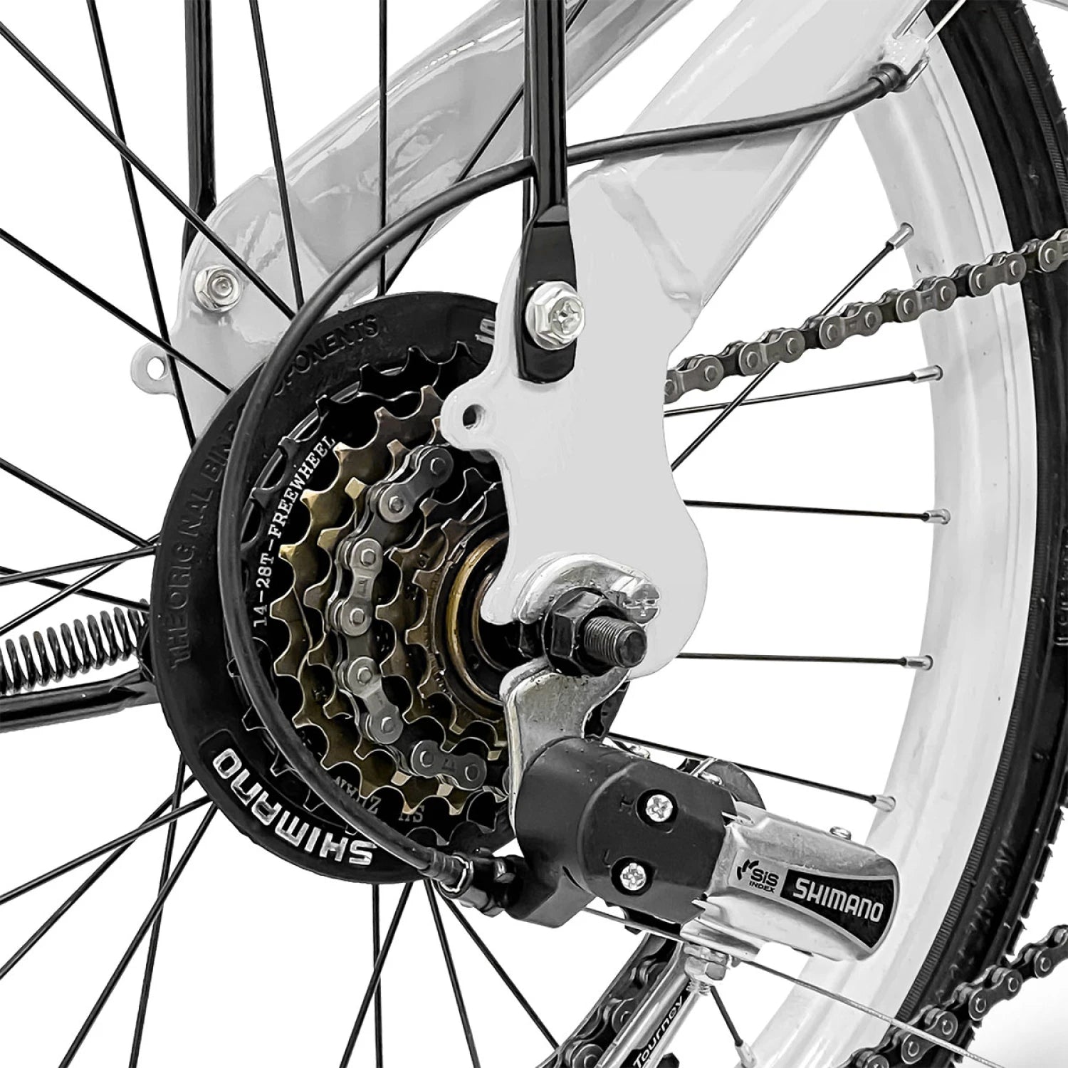 Renta de Bicicleta por Dia (24 hrs)